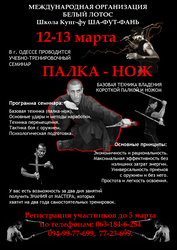 Учебно-тренировочный семинар Палка-нож