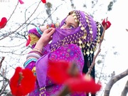 Студия восточных танцев АМИДА