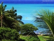 Горящие туры в Египет, Турцию, ОАЭ, Тайланд. Горнолыжный отдых.