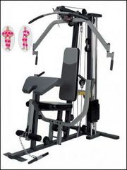 Фитнес станция (спец.система нагрузки до 90 кг) HG - HG 2006